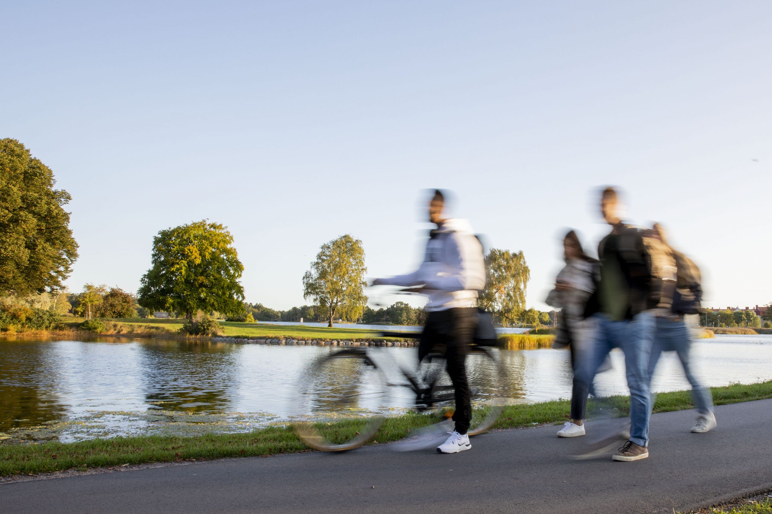 Sol och skuggor vid Rävspelet i Kalmar