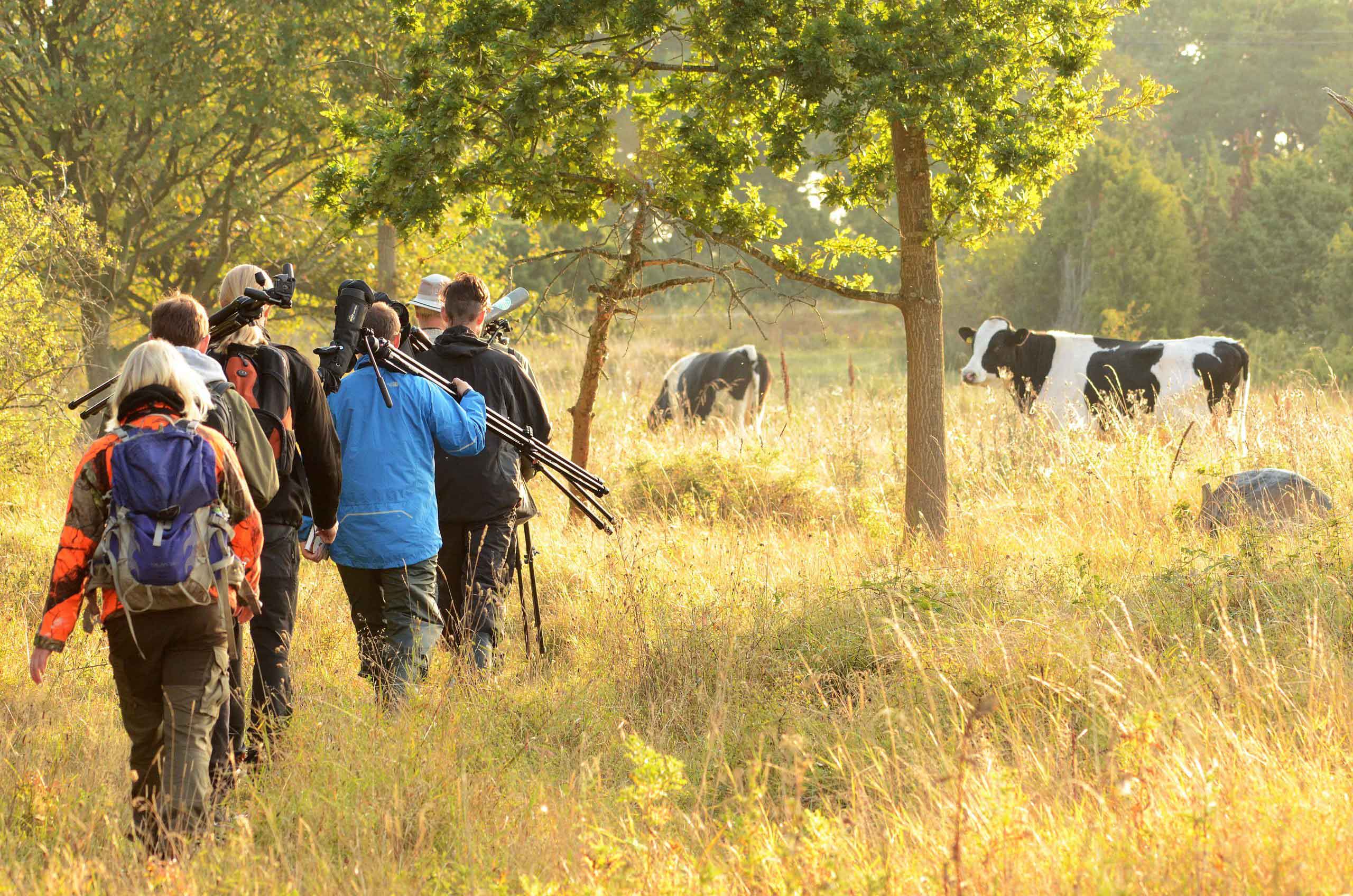 Field studies